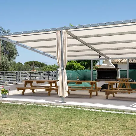 Palm Tree Maisonettes #feelslikehome *