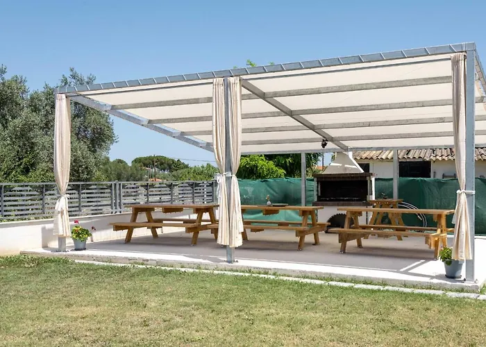 Palm Tree Maisonettes #feelslikehome *